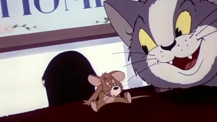 تام و جری Tom and Jerry